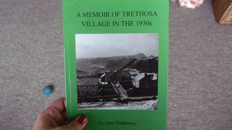 Book Cover for A Memoir of Trethosa Village in the 1930s