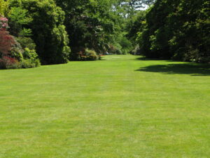 These are the days – A Poem by David Oates